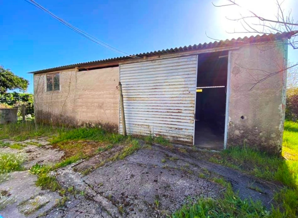 200801398_323818946030717_3776619811188023968_n